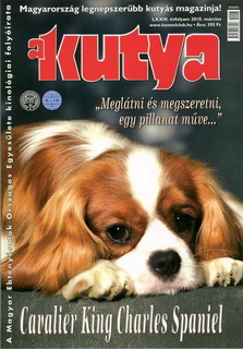 aKutya