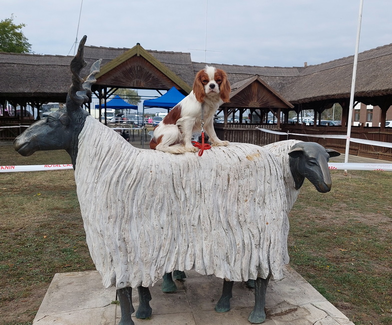 Quilymon Remember The Good Time