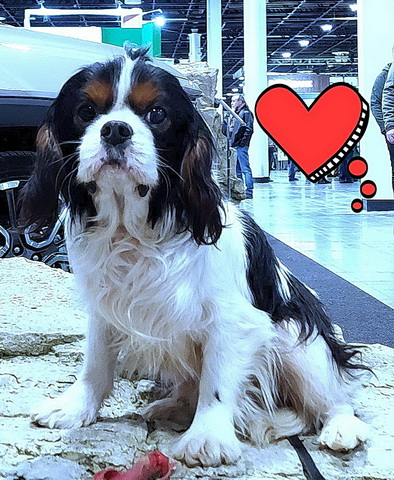 Quilymon Remember The Good Time